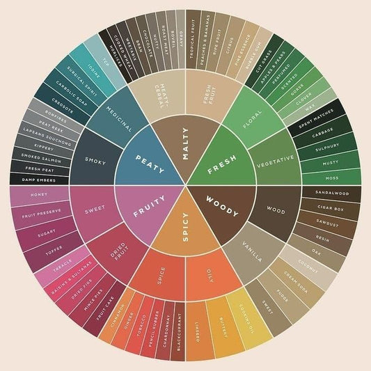 Top Kurti Colors Trending in 2026